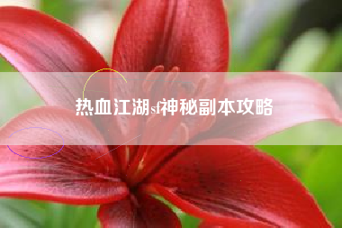 热血江湖sf神秘副本攻略