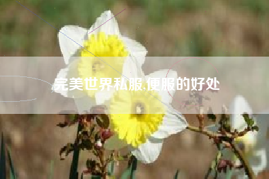 完美世界私服,便服的好处
