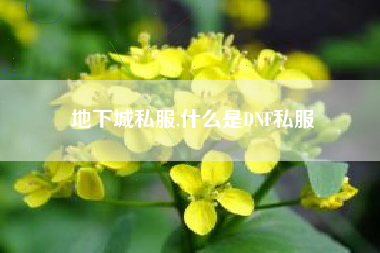 地下城私服,什么是DNF私服