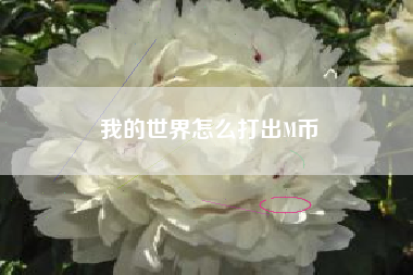 我的世界怎么打出M币