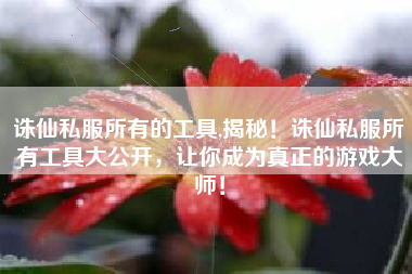 诛仙私服所有的工具,揭秘！诛仙私服所有工具大公开，让你成为真正的游戏大师！