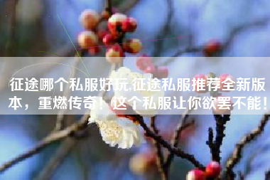 征途哪个私服好玩,征途私服推荐全新版本,重燃传奇!这个私服让你欲罢不能!