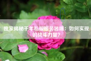 独家揭秘千年私服服务器端:如何实现的战斗力量?