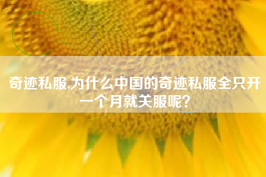 奇迹私服,为什么中国的奇迹私服全只开一个月就关服呢？