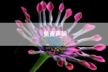 免责声明