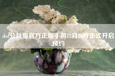 dnf公益服官方正版手游12月30日正式开启预约