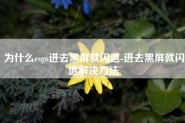 为什么csgo进去黑屏就闪退-进去黑屏就闪退解决方法
