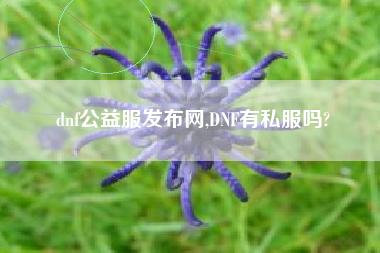 dnf公益服发布网,DNF有私服吗?