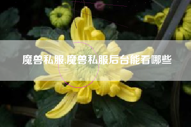 魔兽私服,魔兽私服后台能看哪些
