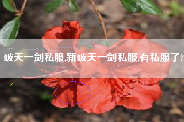 破天一剑私服,新破天一剑私服,有私服了?