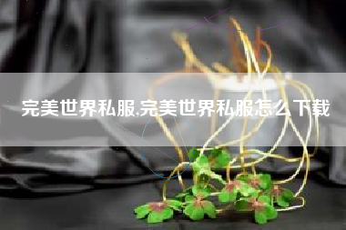 完美世界私服,完美世界私服怎么下载