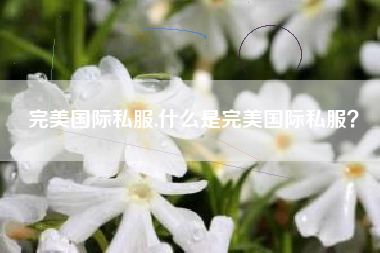 完美国际私服,什么是完美国际私服？