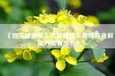 《地下城割草》大黄峰找不着缘故及解决方案有哪些？