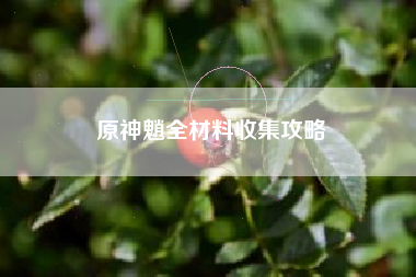 原神魈全材料收集攻略