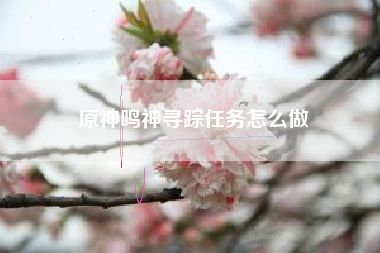 原神鸣神寻踪任务怎么做