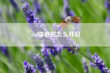 dnf镶嵌栏怎么开启