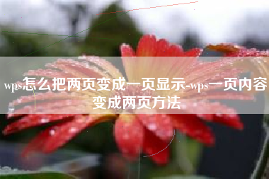 wps怎么把两页变成一页显示-wps一页内容变成两页方法