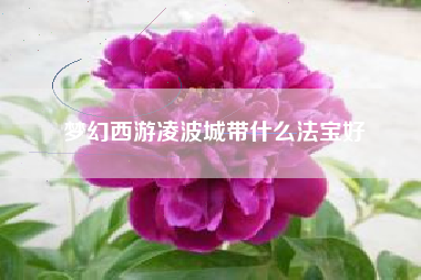 梦幻西游凌波城带什么法宝好