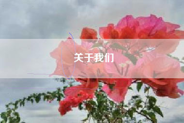 关于我们