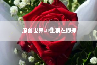 魔兽世界wlk土狼在哪抓