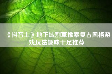 《抖音上》地下城割草像素复古风格游戏玩法趣味十足推荐