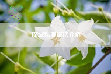 魔域私服玩法介绍