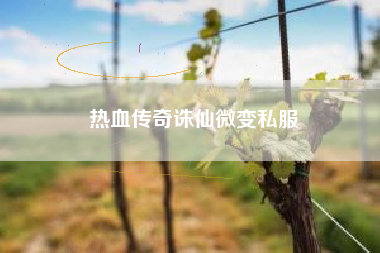 热血传奇诛仙微变私服