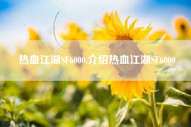 热血江湖SF6000,介绍热血江湖SF6000
