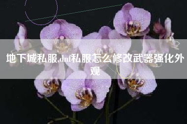地下城私服,dnf私服怎么修改武器强化外观