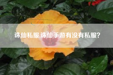 诛仙私服,诛仙手游有没有私服？
