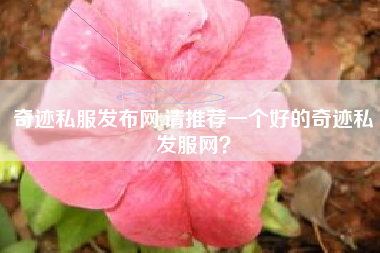 奇迹私服发布网,请推荐一个好的奇迹私发服网？