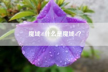 魔域sf,什么是魔域sf？
