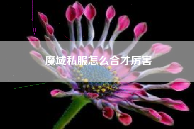 魔域私服怎么合才厉害