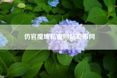仿官魔域私服网站发布网