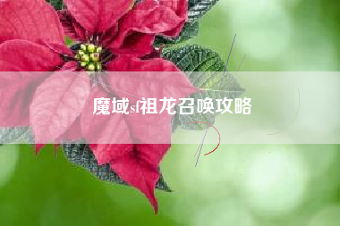 魔域sf祖龙召唤攻略