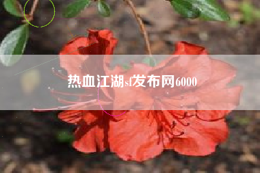 热血江湖sf发布网6000