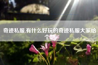 奇迹私服,有什么好玩的奇迹私服大家给个吧