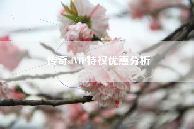 传奇sfVIP特权优惠分析