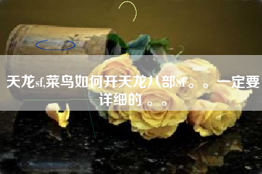 天龙sf,菜鸟如何开天龙八部SF。。一定要详细的 。。