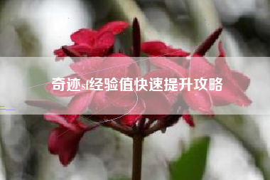 奇迹sf经验值快速提升攻略