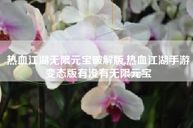 热血江湖无限元宝破解版,热血江湖手游变态版有没有无限元宝