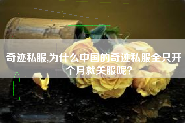 奇迹私服,为什么中国的奇迹私服全只开一个月就关服呢？