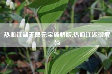 热血江湖无限元宝破解版,热血江湖破解码