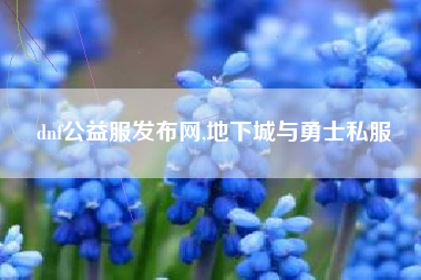 dnf公益服发布网,地下城与勇士私服