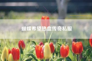 蝴蝶希望热血传奇私服