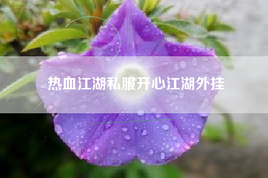 热血江湖私服开心江湖外挂
