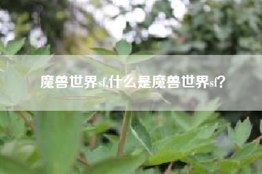 魔兽世界sf,什么是魔兽世界sf？