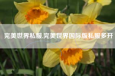 完美世界私服,完美世界国际版私服多开