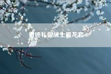 奇迹私服战士黑龙套