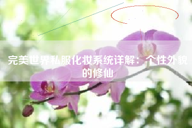 完美世界私服化妆系统详解：个性外貌的修仙
